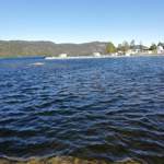 Img-20190512
