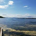 Img-20190515