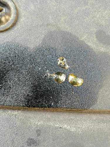 Img-20210810
