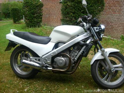 Dsci0534