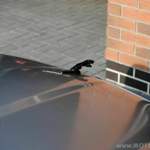 Leaper auf dem Weg gen Wand