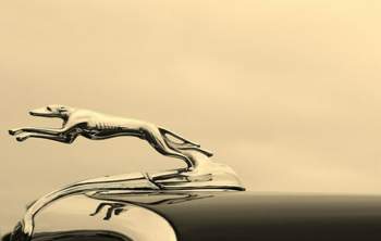 Kuehlerfigur-an-einem-ford-woodie