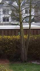 20150407-083007