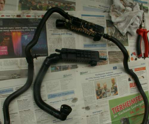 Pict0025