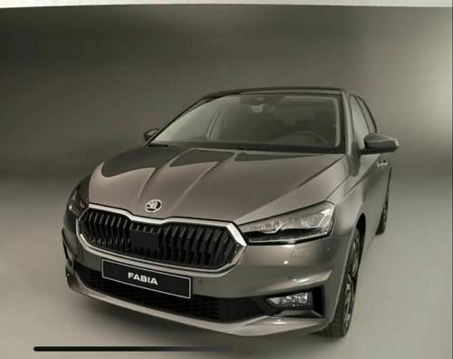 Skoda Graphitgrau