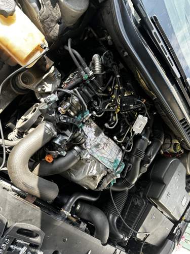 Motor
