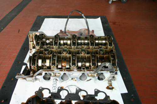 Img-9893