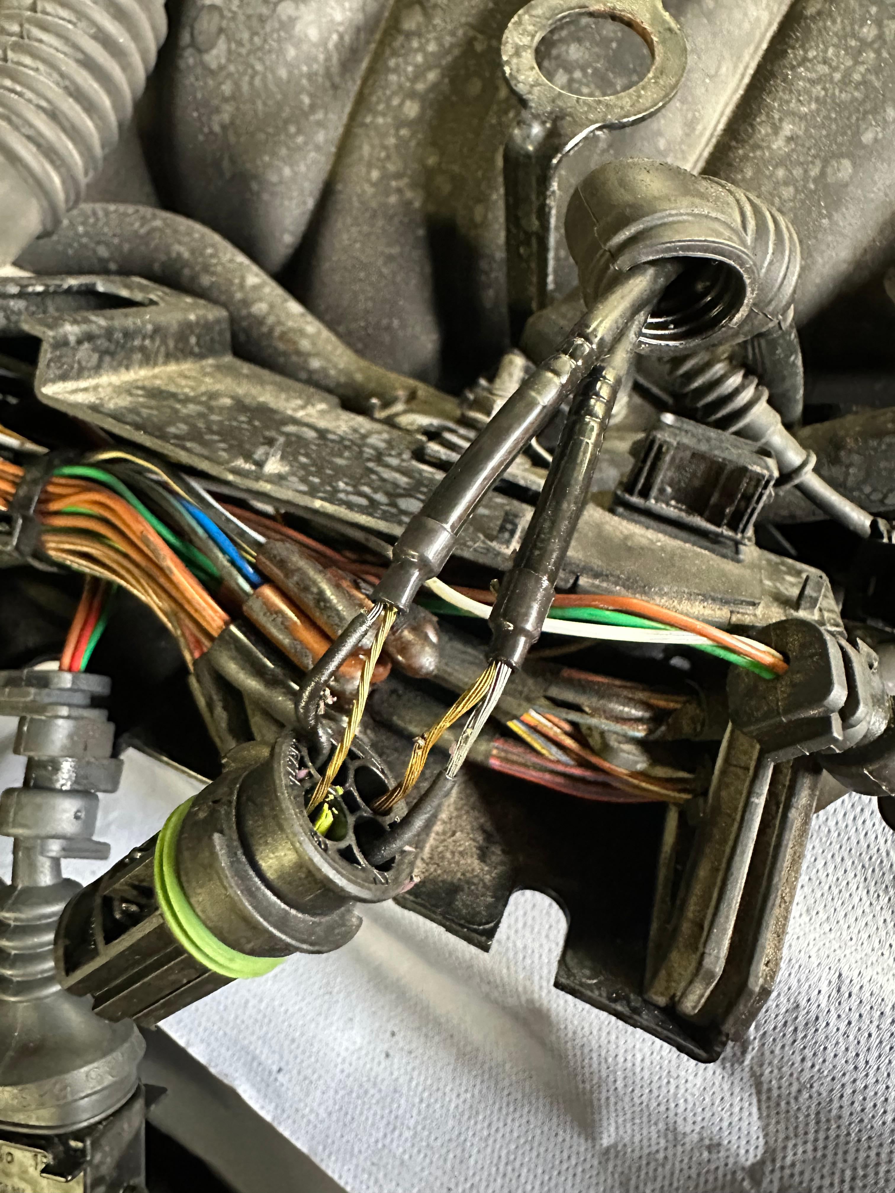 Öl im Stecker 540i (Lambdasonde?)