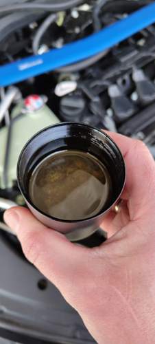 L15B Turbo Mishimoto Catchtank