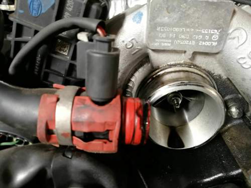 Img-20190413-142450