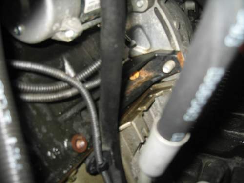 Img-8278