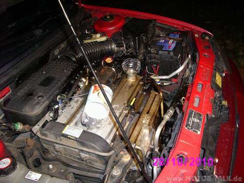 Img-3303