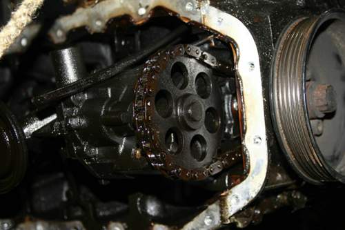 IMG_6745_resized_0.JPG