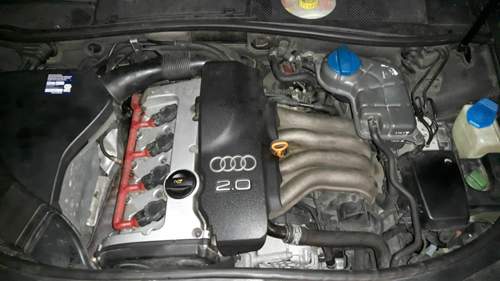 Motor