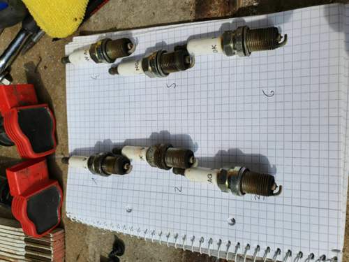 IMG_2019-07-12_16-50-09.jpeg