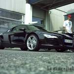Black Beauty