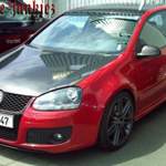 Netter Golf V