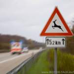 Sollte man ernst nehmen...im Herbst