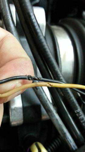 IAT Kabel