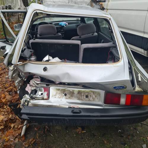 Img-20241127-135846