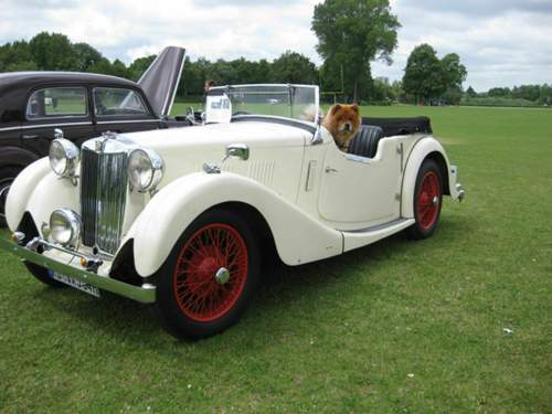 Mg-ya-roadster-frontansicht