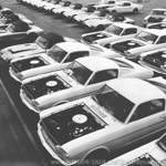 Mustang-lot
