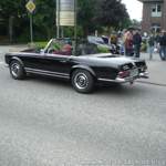 Mustang gab es reichlich