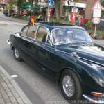 Eleganter Jaguar