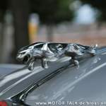 Dsc-6542 Jaguar XK150