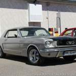 Mustang