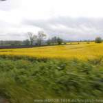 01image1155