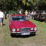 Jaguar-12-zylinder