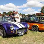 Cobra
