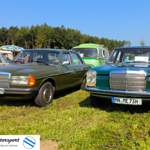 W123-strichacht