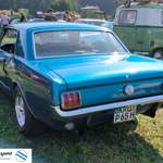 Mustang