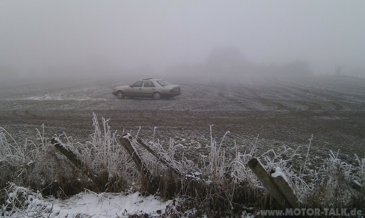 Omas W124 aufpeppeln oder verwursten?