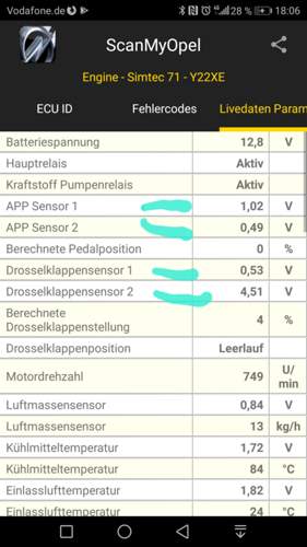 Werte Gaspedal+Drosselklappe
