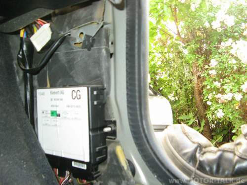 Img-3399