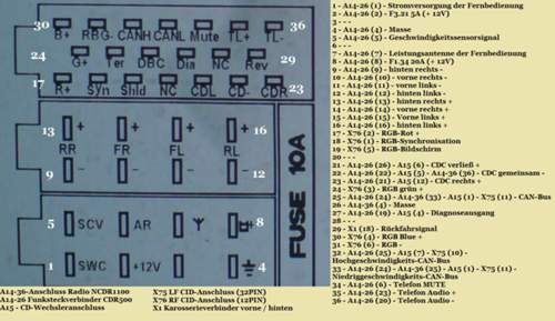 Radio-36er-stecker