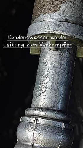 Img-20230620-wa0009