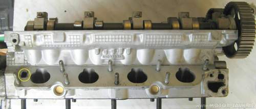 Img-3326