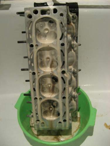 Img-0124