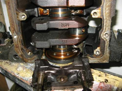 Img-0302