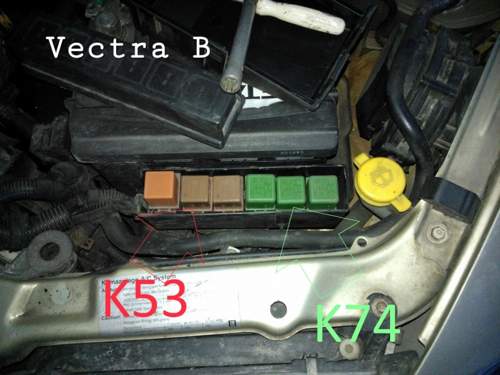 Veci B