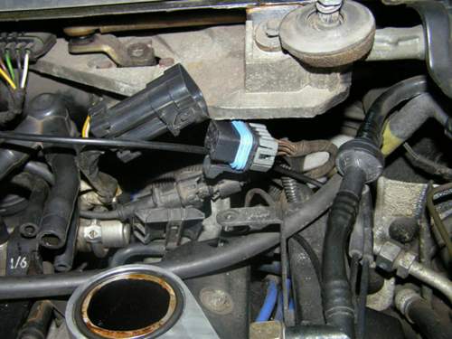PICT2603.jpg