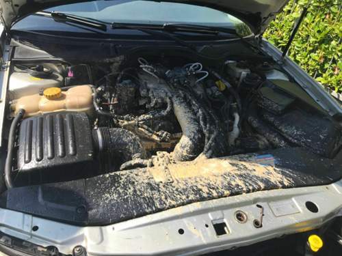 Motor nach abgesprungenem Kuehlerschlauch.jpg