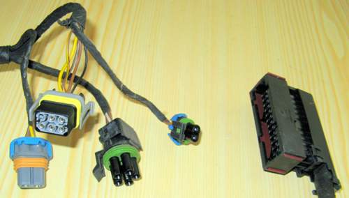 Img-1653