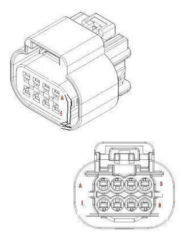 Delphi-stecker-dk