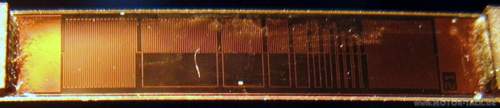 Img-0528-kopie