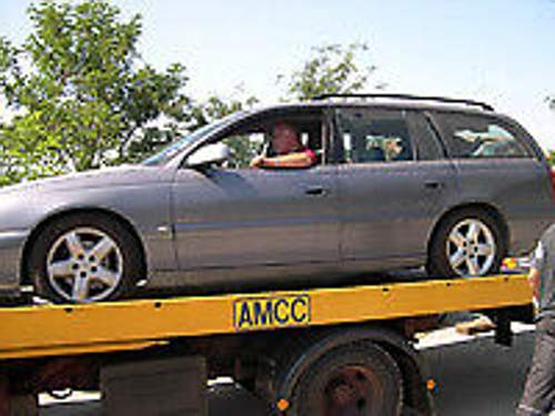 Amcc
